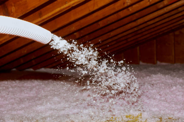 Best Commercial Insulation in Ewa Beach, HI