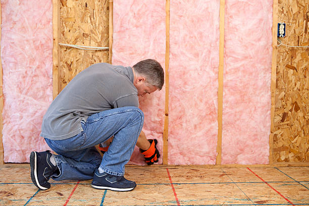 Types of Insulation We Offer in HI